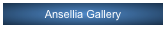 Ansellia Gallery
